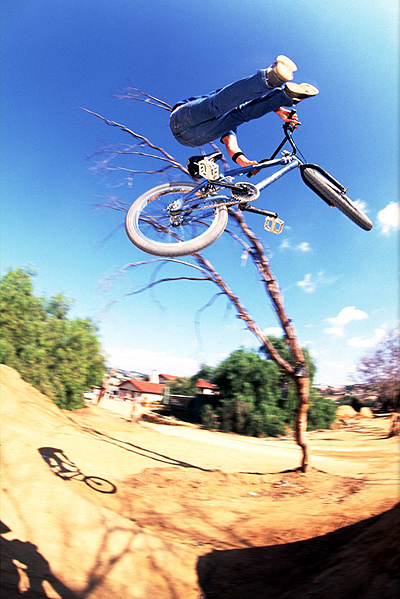 bmx003