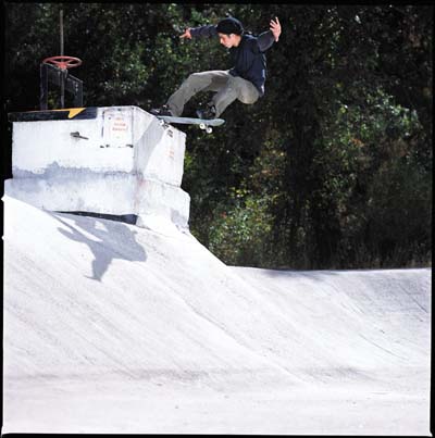 skate019